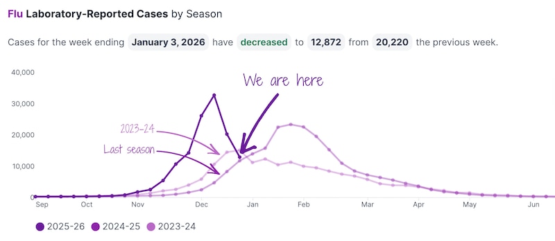 A line chart shows flu cases in New York City.