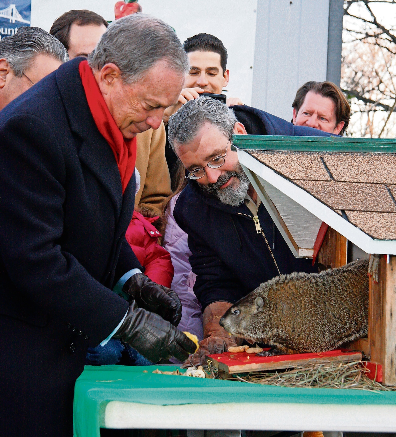 2009: Groundhog bit Bloomberg