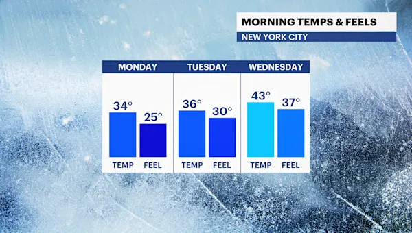 News 12 | Connecticut | Brighter skies with a chilly breeze to start the week in The Bronx