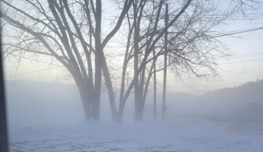 Steuben nitrogen leak