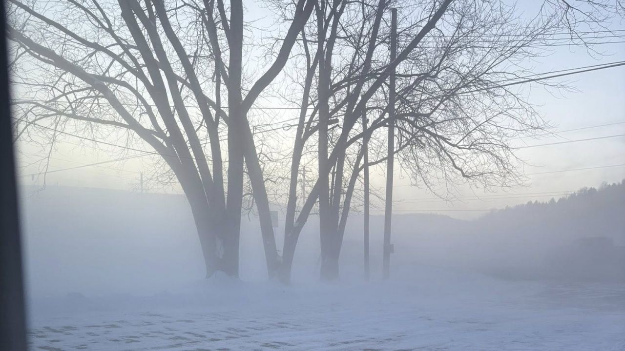 Steuben nitrogen leak