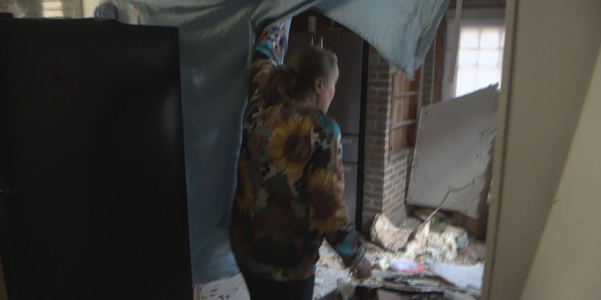 Brooklyn woman bracing for weekend after tree falls into her home, leaving part wide open to cold weather