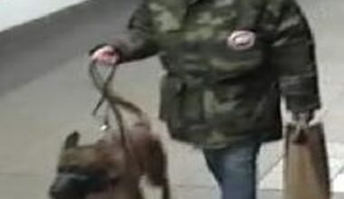 Owner sics canine onto straphanger in vicious subway assault – amNewYork