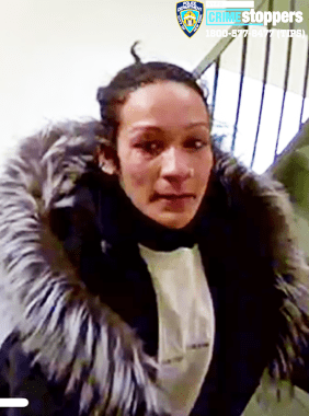 Charlotte Gardens: Police Appeal for Help Locating Mother and Baby Girl in Custodial Interference Incident