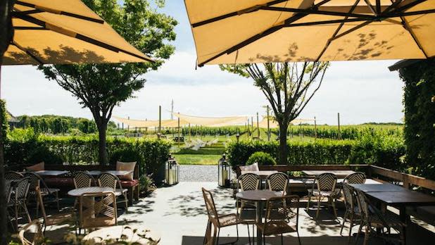 Outdoor patio looking out at the vines at Rose Hill Vineyards