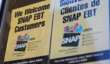 Chipped food stamp debit cards eyed in N.Y. budget