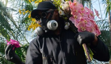 Mr. Flower Fantastic’s Concrete Jungle’ at New York Botanical Garden – Bronx Times