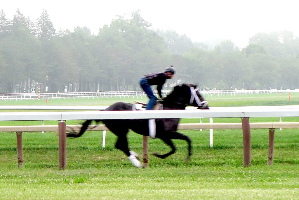 SaratogaSprings 20170708 256e2 c Karen Rubin Racetrack