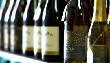 Zero-Proof Finds a New Home in South Brooklyn – New York City News Service