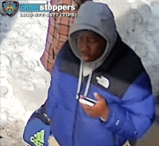 Fordham Manor: Two Rob Jacket of Teen’s Back in St. James Park