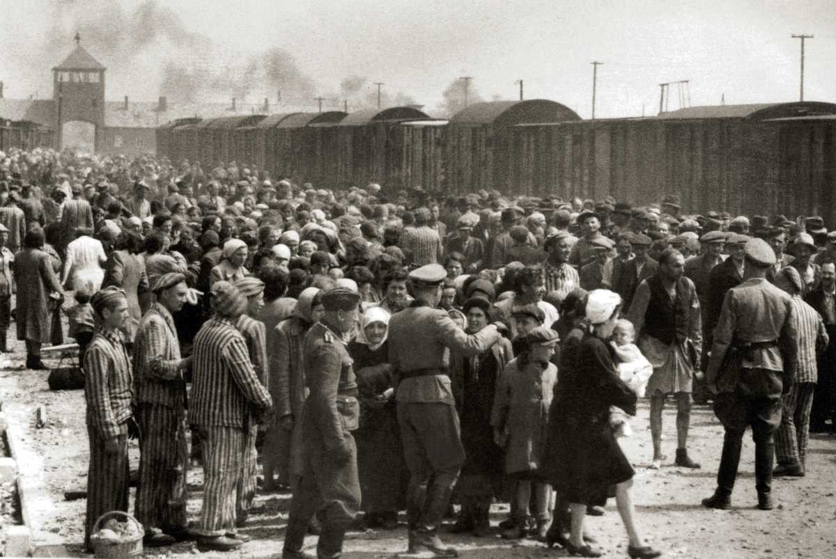 People being selected for extermination at Auschwitz death camp in public domain picture