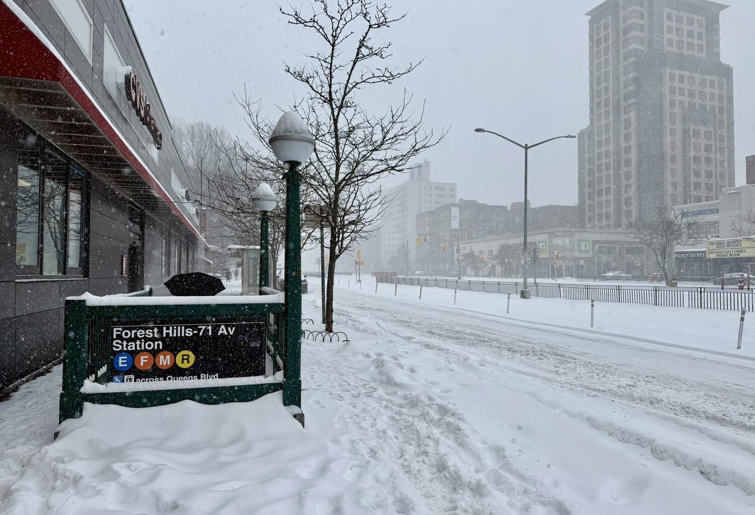 Queens digs itself out from harsh winter storm — Queens Daily Eagle