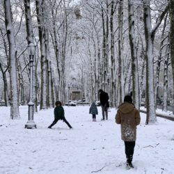 Families stroll through the transformed landscape in Cadman Plaza Park. Photo: Mary Frost, Brooklyn Eagle