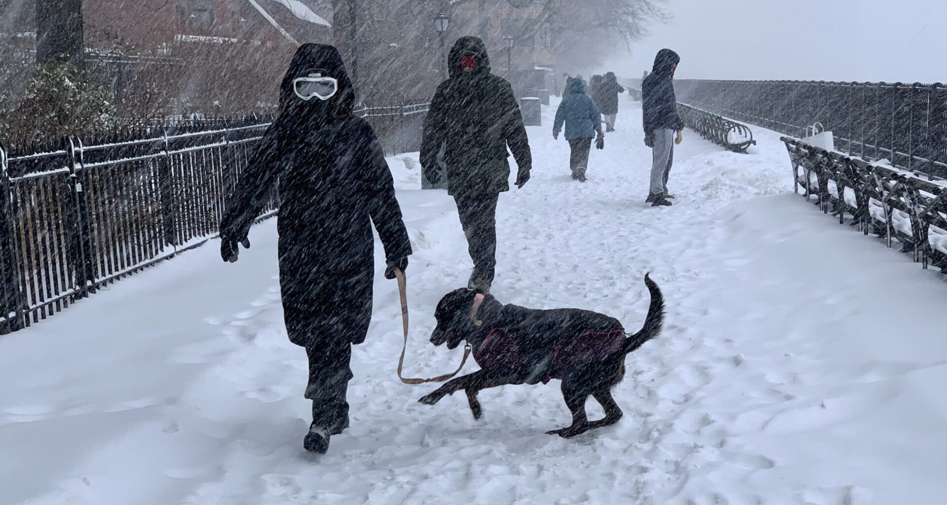 Braving Sunday’s storm on the Brooklyn Heights Promenade. Photo: Mary Frost, Brooklyn Eagle