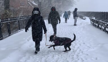 Braving Sunday’s storm on the Brooklyn Heights Promenade. Photo: Mary Frost, Brooklyn Eagle