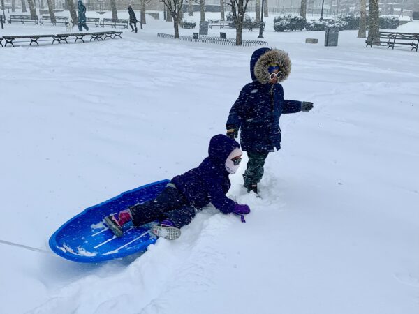Kids hopped out of their sled to play in the snow in Cadman Plaza Park on Sunday. Photo: Mary Frost, Brooklyn Eagle
