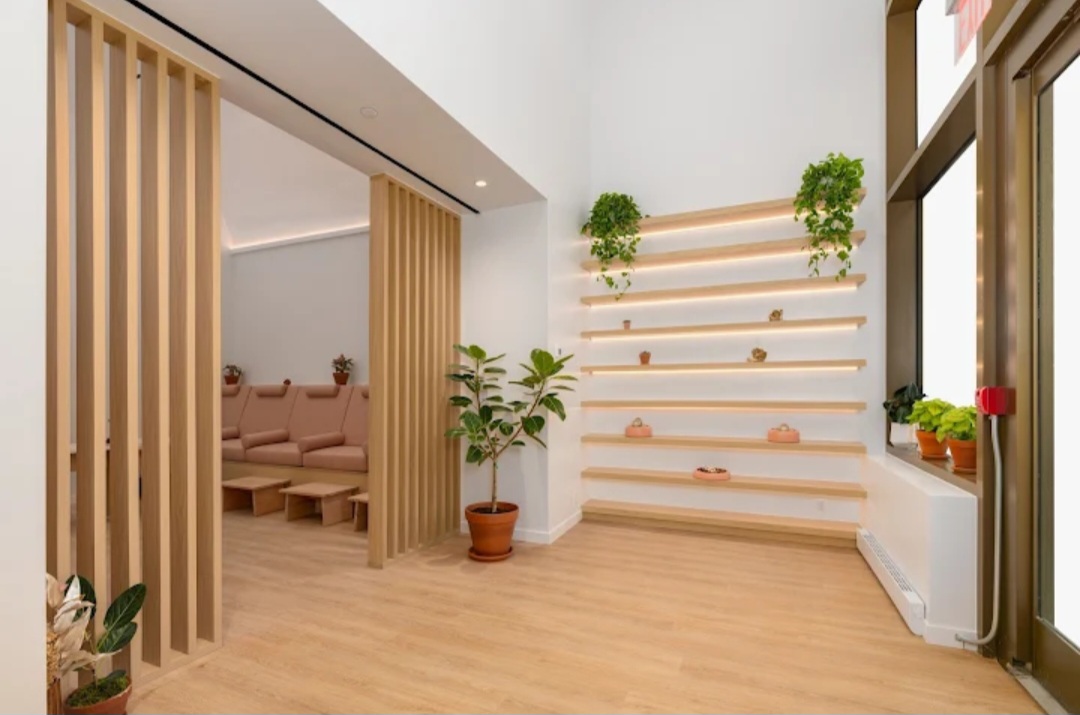 The ultimate galentine’s guide to western Queens