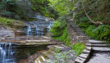 This City in New York's Finger Lakes Has Wineries and Waterfalls—With Supposedly More Restaurants per Capita Than NYC