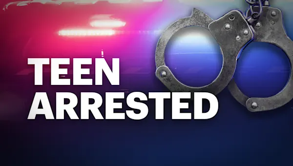 News 12 | Brooklyn | 14-year-old student busted with knife, imitation firearm at middle school in Crown Heights