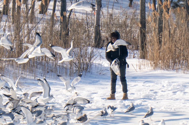 Gerritsen Inlet is seen frozen over in Brooklyn on Thursday January 29, 2026. 