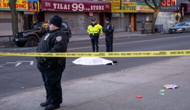 Woman killed in hit and run in Brownsville Brooklyn: NYPD