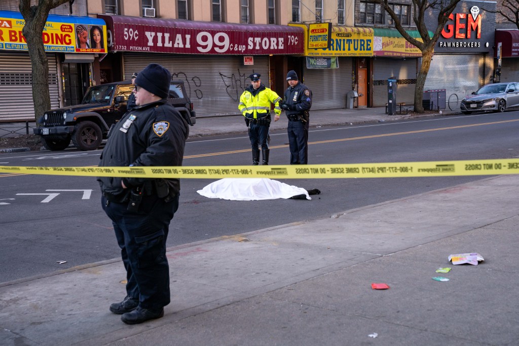 Woman killed in hit and run in Brownsville Brooklyn: NYPD