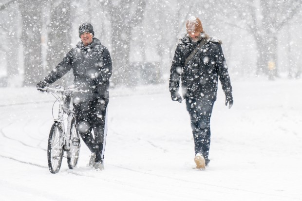 Snow in Prospect Park on Saturday.