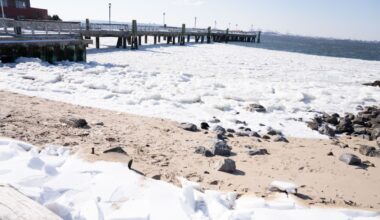 No end in sight next week for freezing temperatures in NYC