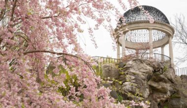 8 Family-Friendly, Easy Things to Do in Westchester: A Local’s Guide