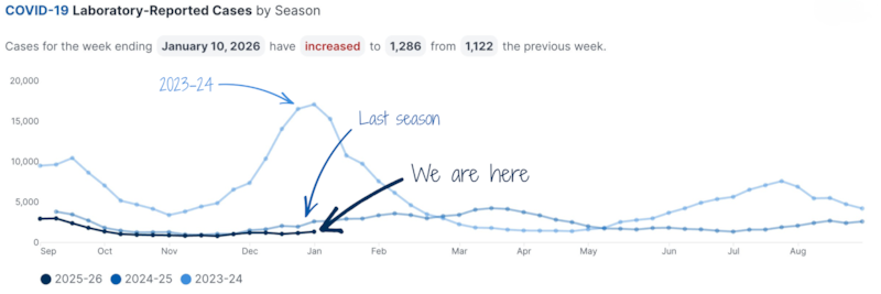 A line chart shows Covid cases in New York City.