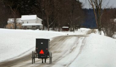 Amish buggy driver injured in Upstate NY hit-and-run crash