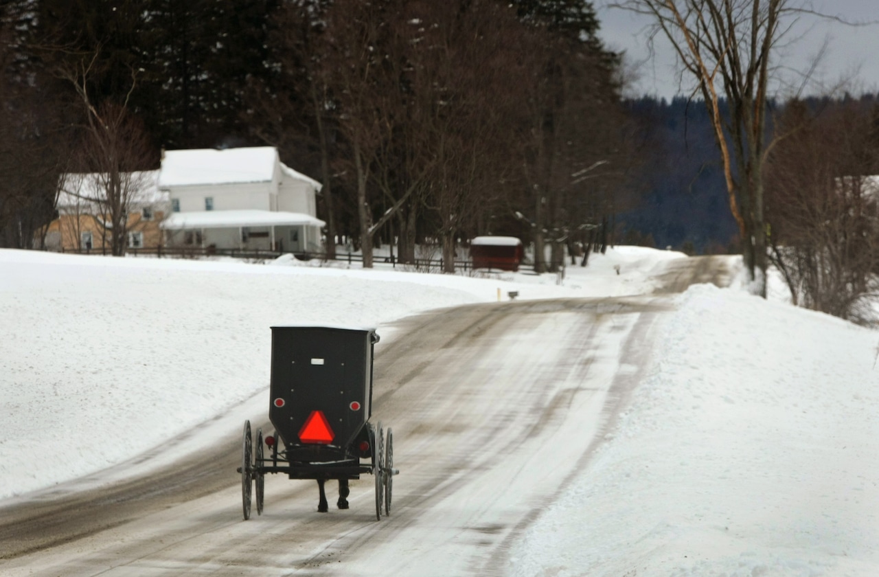 Amish buggy driver injured in Upstate NY hit-and-run crash