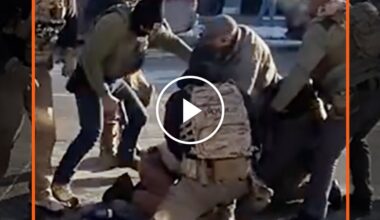 New Video Analysis Reveals Flawed and Fatal Decisions in Shooting of Pretti