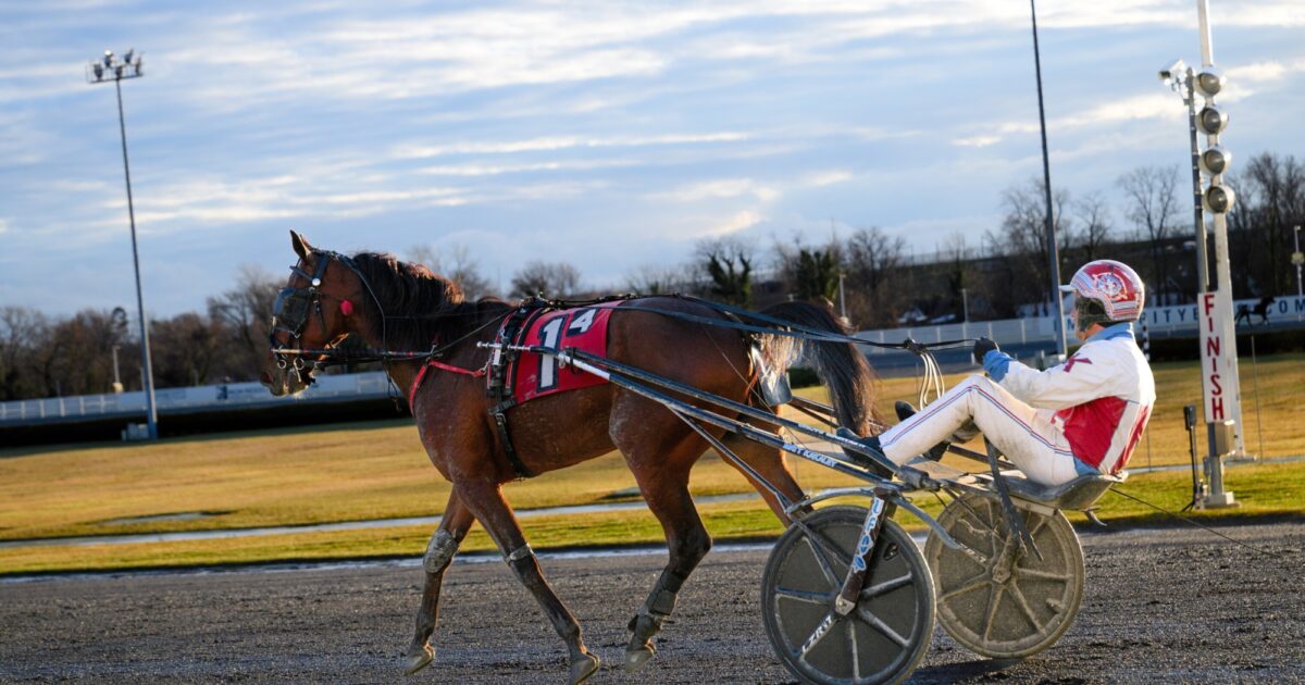 We Investigated Horse Drugging. Here's What We Found.