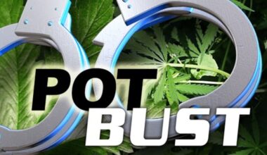 Traffic stop leads to pot bust