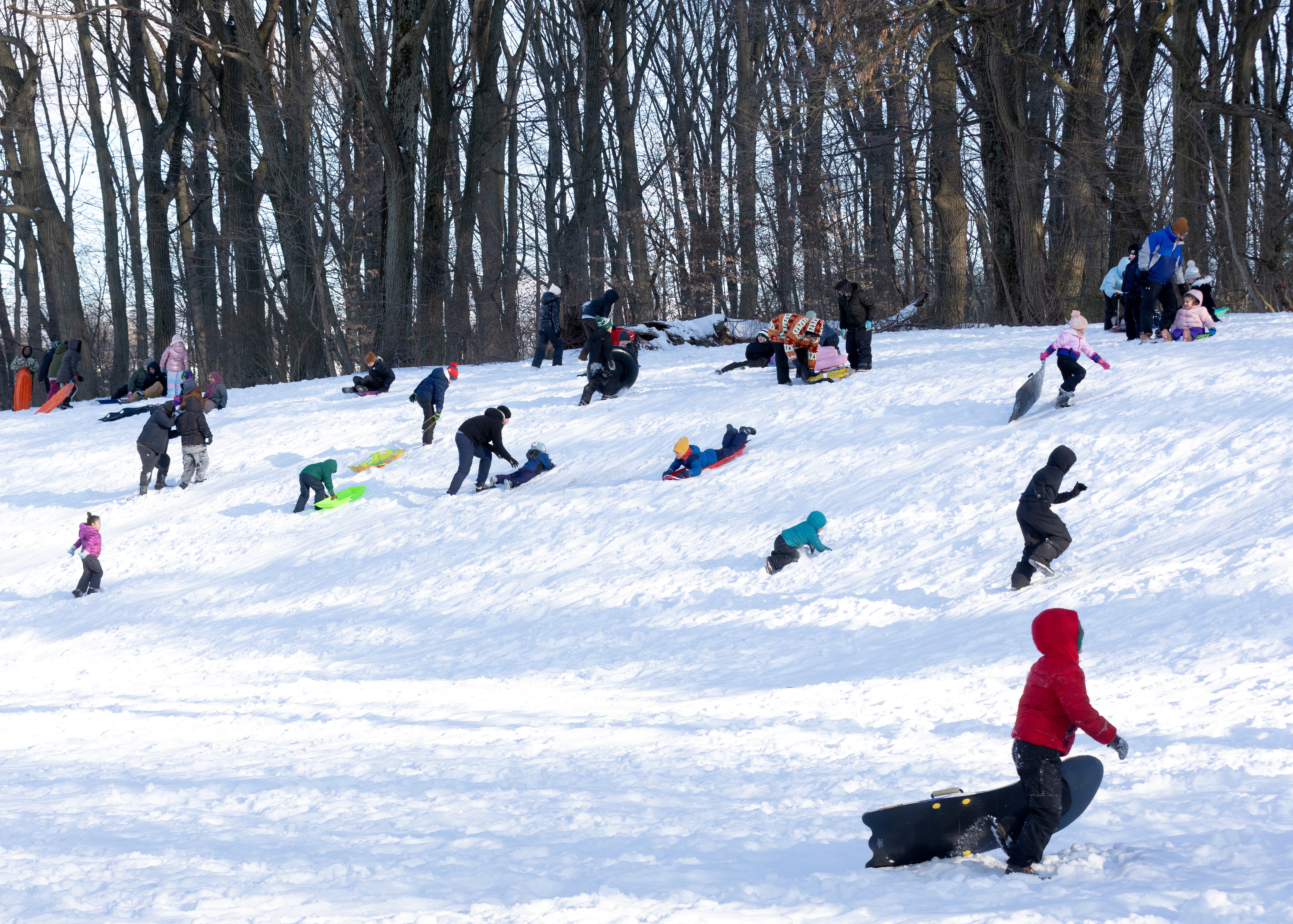 Children enjoy their snow day sledding in Clove Lakes Park on Monday, Jan. 26, 2026. (Advance/SILive.com | Jason Paderon)