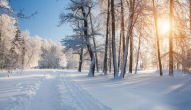 AccuWeather Releases Spring Forecast For New York State