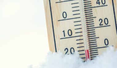 New York State Police Arrest Woman Who Left Dog In Car Overnight