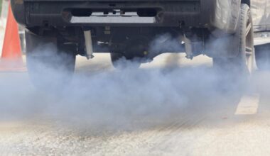 Winter Habit Is Actually Illegal