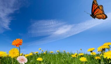 What Is The Old Farmer’s Almanac Prediction For Spring 2026?