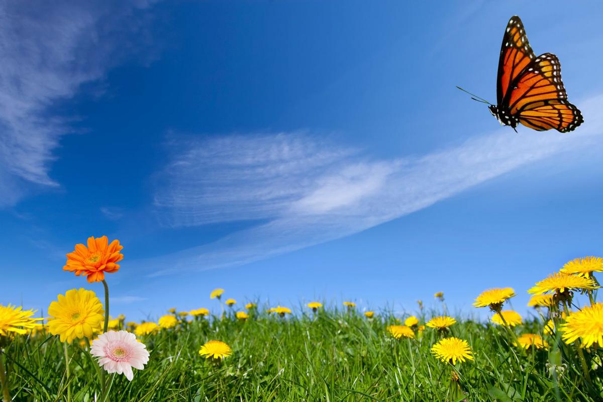 What Is The Old Farmer’s Almanac Prediction For Spring 2026?