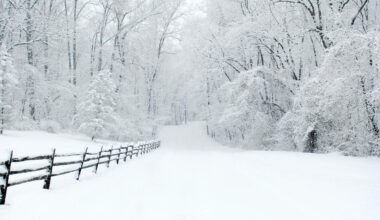 What Are Frost Quakes and are they dangerous?