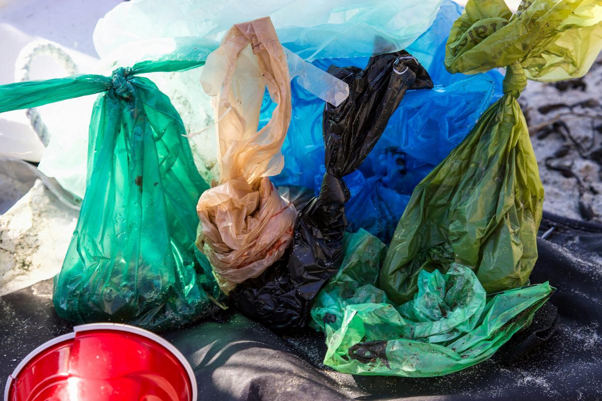 Study Reveals Jump In Plastic Use After New York's Bag Ban