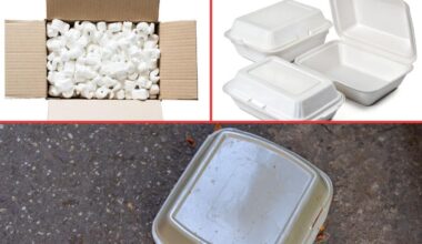 New York State Expands Polystyrene Foam Containers Ban