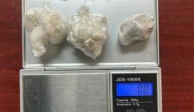 Bronx Resident Facing Drug Charges After Arrest in Mamakating