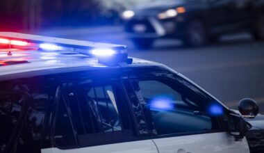 NY State Man Tased After Fleeing Police During Domestic Dispute