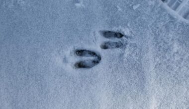 Weekend Weather For New York's Hudson Valley