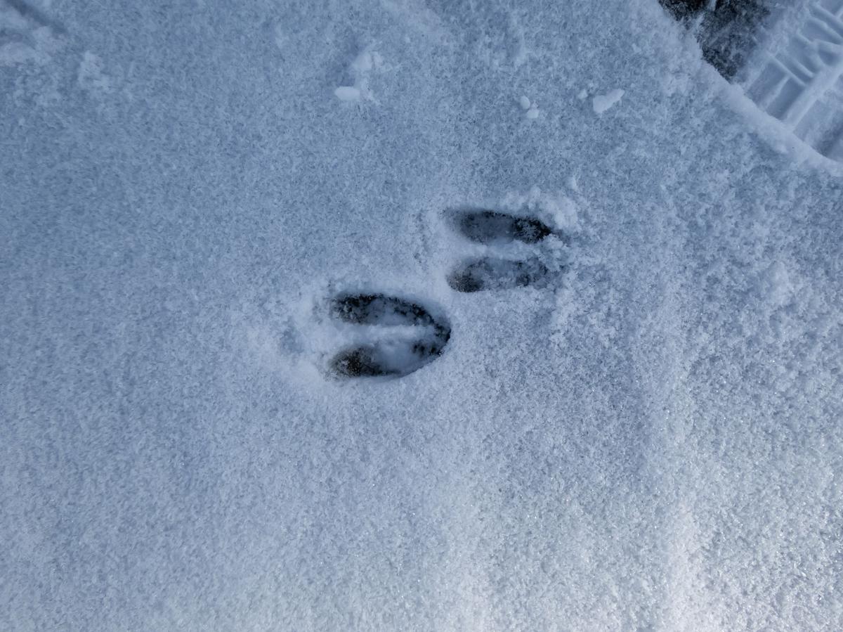 Weekend Weather For New York's Hudson Valley