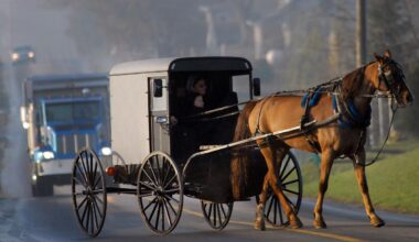Pick-Up Truck Hits Amish Buggy in New York State, Killing Horse