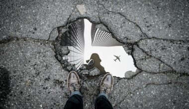 Daily Destruction on the New York State Thruway